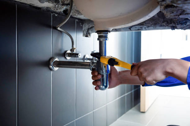 Best Plumbing Inspections & Maintenance in Northchase, NC